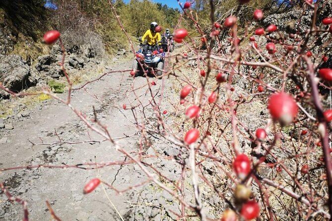 Etna Hard Tour - Coming back down: the 850-meter finish and why the last leg matters
