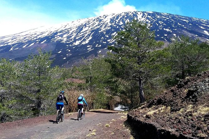 Etna in MTB Half day small group - Stop 3: Parco dell’Etna and the Calm Finish on a Natural Path