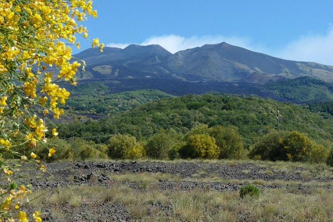 Etna Morning Experience: Cave, Trails & Tasting from Syracuse - Enoteca Dell’Etna Tasting: EVO Oil, Honey, and the Local Way to Eat