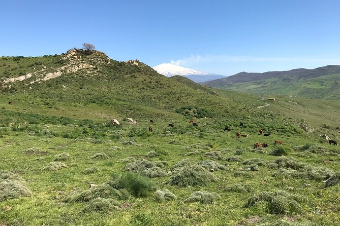 Etna Morning Jeep Tour - Optional cave time: Cassone, Casa del Vescovo, and Grotta del Gatto