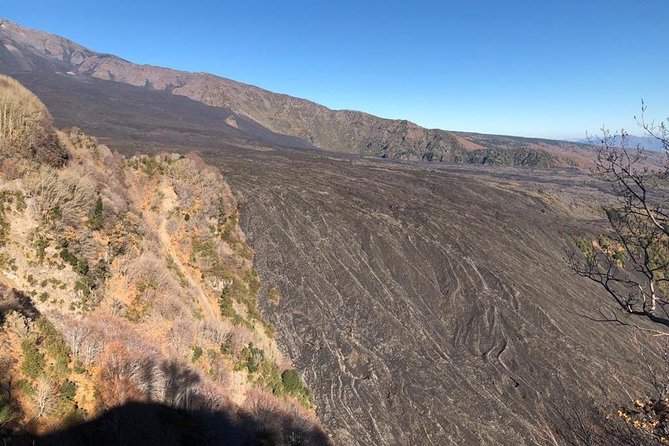 Etna Morning Tour from Catania - Key Highlights You’ll Feel Immediately