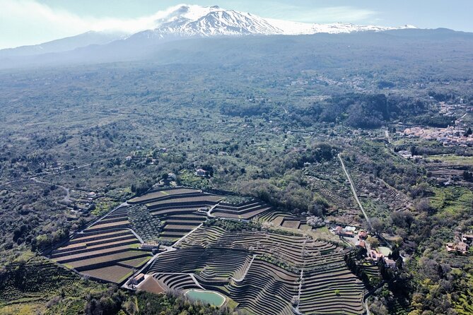 Etna panoramic private tour and Wine taste and food combination - Key highlights you’ll care about