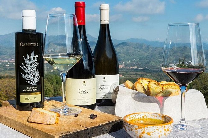 Etna panoramic private tour and Wine taste and food combination - Silvestri craters around 2,000 meters: the up-close view part