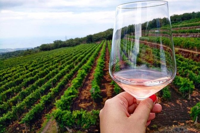 Etna panoramic private tour and Wine taste and food combination - Getting from Taormina up toward Mt. Etna