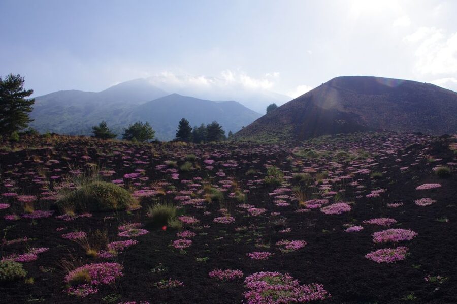 Etna Private Sunset Tour with Prosecco - Prosecco at the Crater: Drink With a View, Not After It