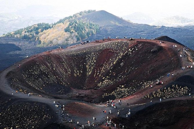 Etna Private tour from Messina Cruise Terminal + Lunch at Winery - Honey store tastings: the surprisingly good pre-game for Etna flavors