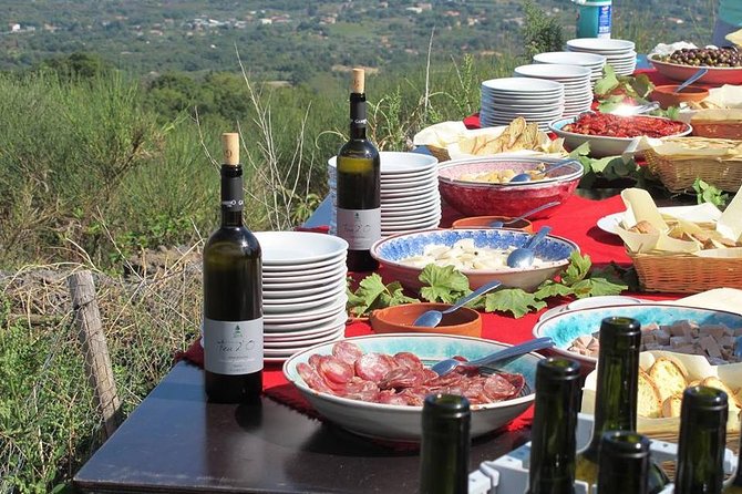 Etna Private tour from Messina Cruise Terminal + Lunch at Winery - The Etna winery portion: a real estate visit, then lunch with sommelier pours