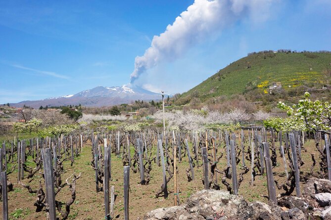 Etna Private tour from Messina Cruise Terminal + Lunch at Winery - Guides you might meet: what locals tend to get right