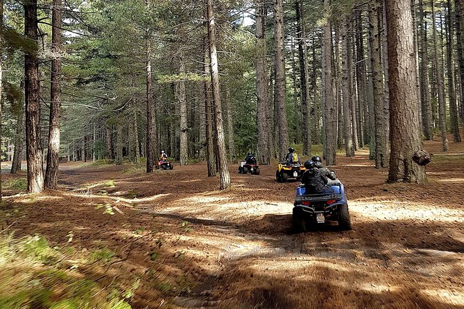 Etna quad tour - half day - Zappinazzu and viewpoint time: small stops that add meaning