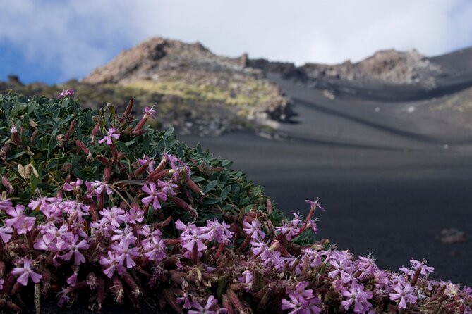 Etna's Hidden Gems - Trek Valle Bove & Lava Tunnel with Gear - Craters Silvestri: Two Pyroclastic Cones at Around 1900m
