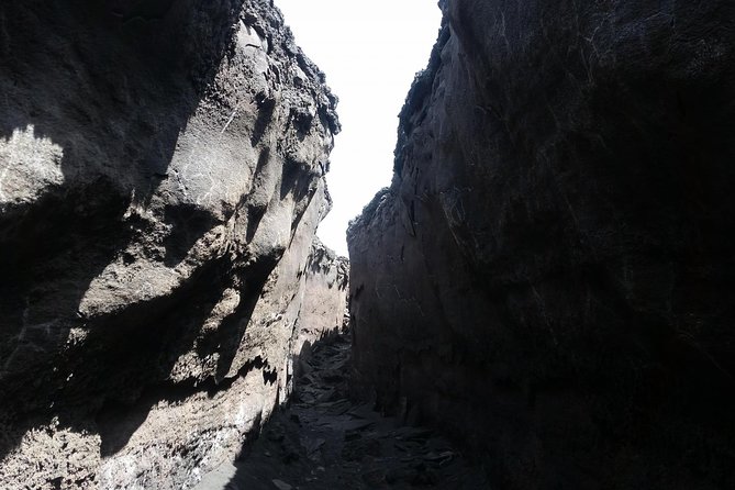 Etna Sud tour - Cableway ride up Etna: extinct craters, lava fields, and the “survival line”