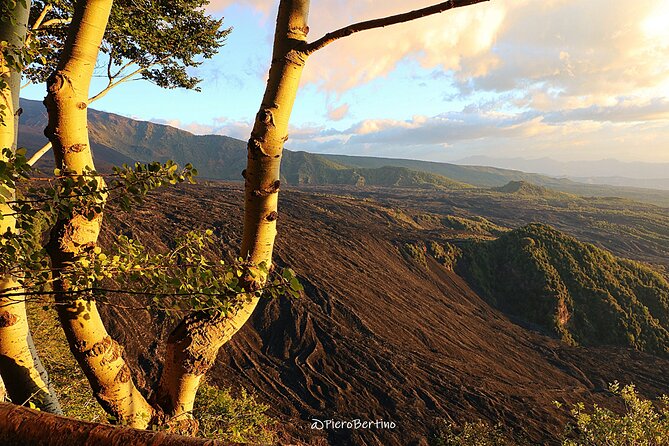 Etna Sunset Tour - Oro d’Etna farm tasting in Zafferana Etnea: a break from the rocks
