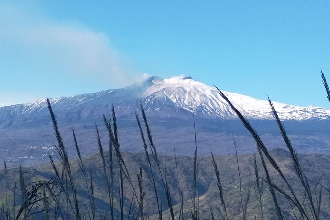 Etna sweet Day - Price and what you’re really buying for $69.81