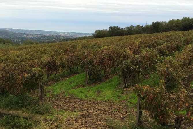 Etna Tour and Lunch in a Winery with Wine Tasting - What to Pack and How to Enjoy Each Stop