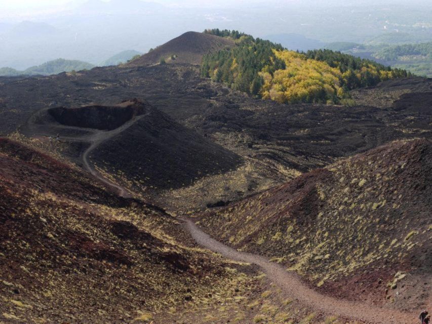 Etna Tour by Panoramic Bus - Panoramic Bus Comfort: The Good Parts and the Plain Truth