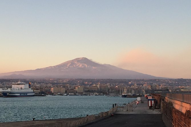 Etna Tour for Cruises (from the port of Catania) - Getting from the port: pickup, transport, and what “meeting” looks like