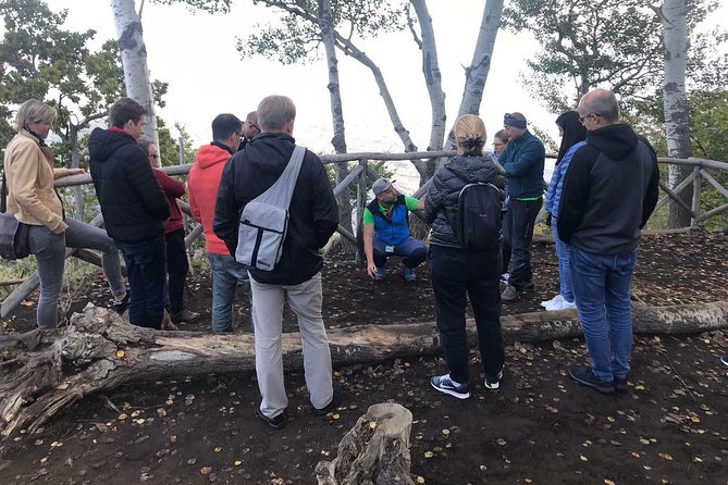 Etna Tour - HalfDay Small Group & licensed Tour Guide - The Optional Silvestri Crater Detail (and Why It Can Change Your Day)