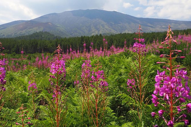 Etna Tour in 4x4 - Valle del Bove Views: The Amphitheater Stop That Changes With Conditions