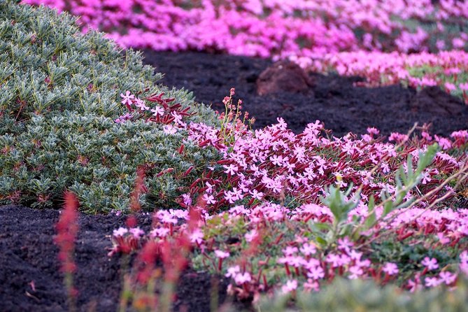 Etna Tour in 4x4 - What Makes the Guides Stand Out on Etna