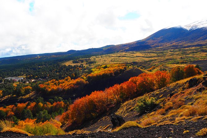 ETNA - Trekking to the Craters Eruption of 2002 - Price and value: what $36.14 actually buys you