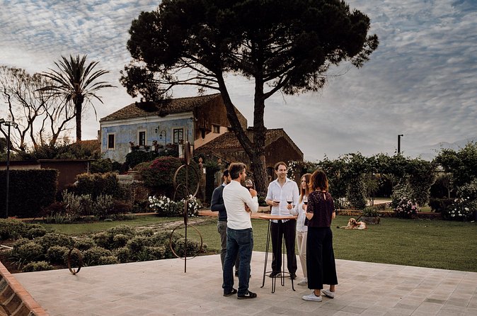 Etna Urban Winery - Sunset vineyard Walk and Tasting Dinner - Timing, comfort, and who this tour suits best