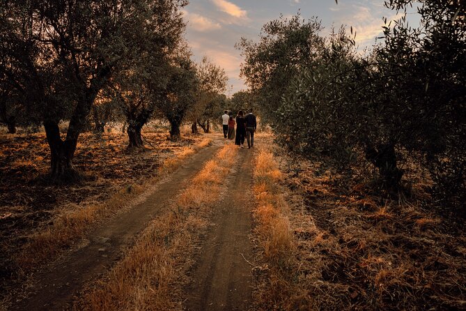 Etna Urban Winery - Sunset vineyard Walk and Tasting Dinner - FAQ