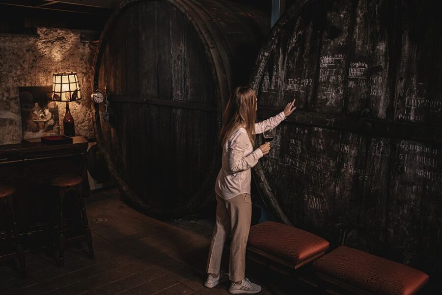 Etna Urban Winery, Vineyard Walk & Sunset Tasting Dinner - Key highlights you’ll feel fast