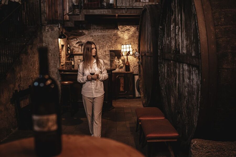 Etna Urban Winery, Vineyard Walk & Sunset Tasting Dinner - Urban vineyards near Catania and Etna: what this tour really is