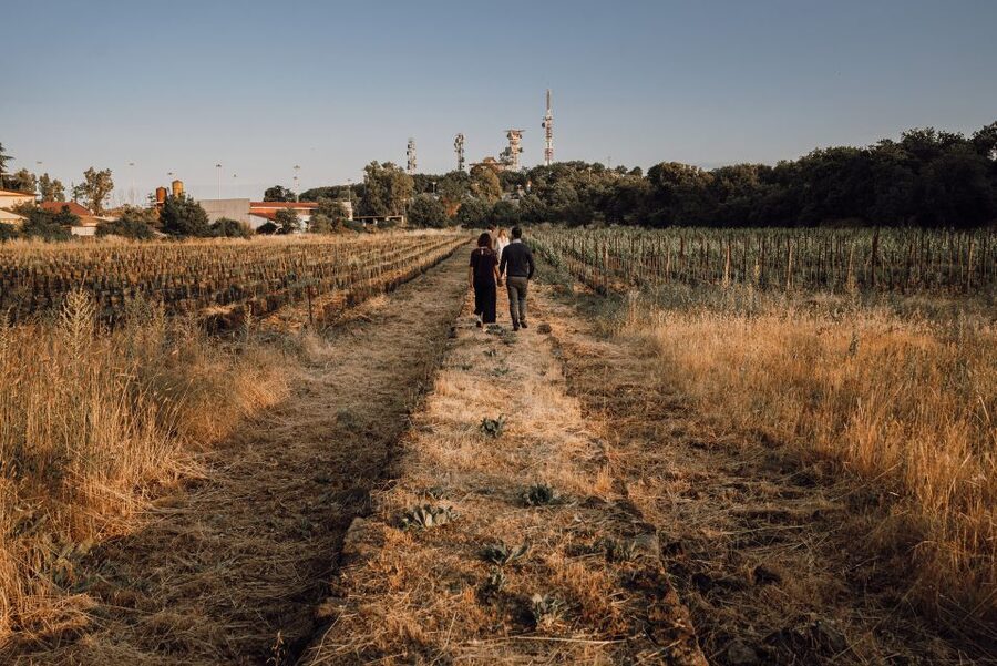 Etna Urban Winery, Vineyard Walk & Sunset Tasting Dinner - Inside the 1790 palmento: barrels, presses, and family diaries