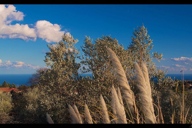 Etna Volcanic Yoga and Meditation Weekend (Private Experience) - Key highlights at a glance