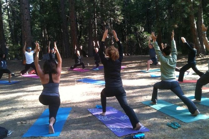 Etna Volcanic Yoga and Meditation Weekend (Private Experience) - Meals, tea sessions, and how food supports the slower pace