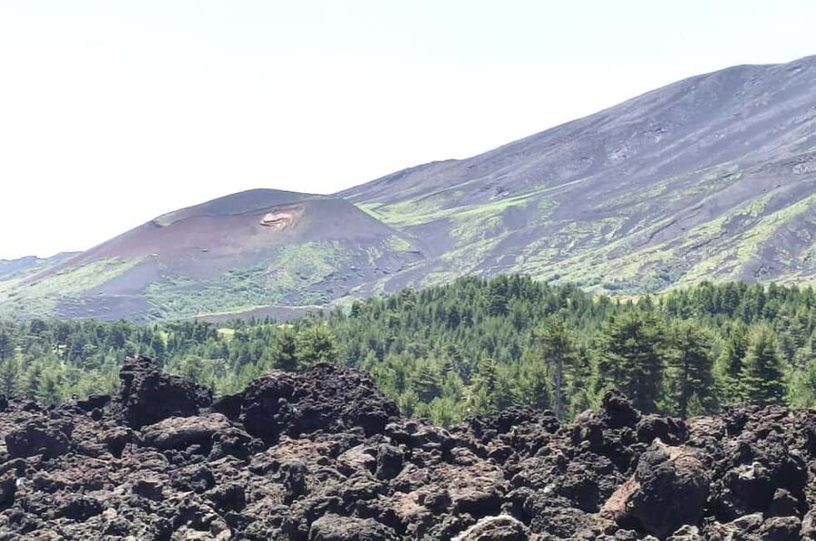 Etna walking tour, visit of a lava tunnel, Arancino tasting - The trekking section: lateral craters, lavaflows, and plant life