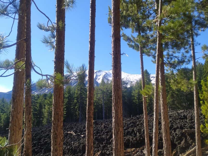 Etna walking tour, visit of a lava tunnel, Arancino tasting - Pickup from Taormina and the ride to about 1,900 meters