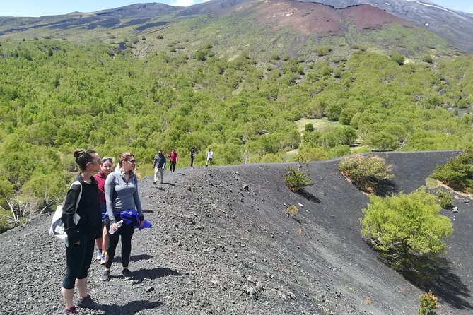 Etna, Wine and Alcantara Tour - From Taormina - From Taormina Pickup to the Etna Drive: Settle In Early