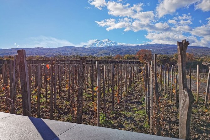 Etna Wine and Alcantara with lunch - Trekking Etna’s Northern-East Side at 2,000 Meters