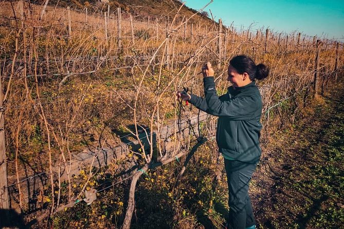 Etna Wine and Food Volcanic Day Tour - Private Experience - Quick decision guide: should you book?
