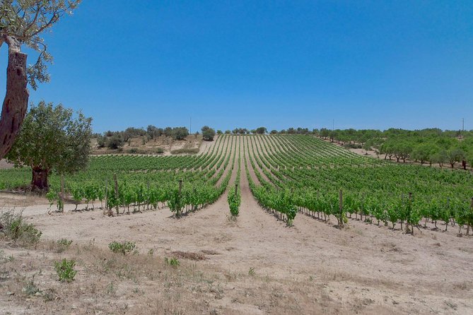 Etna Wine and Food Volcanic Weekend Immersion Tour (Private Experience) - What to watch before you book (seriously, do this)