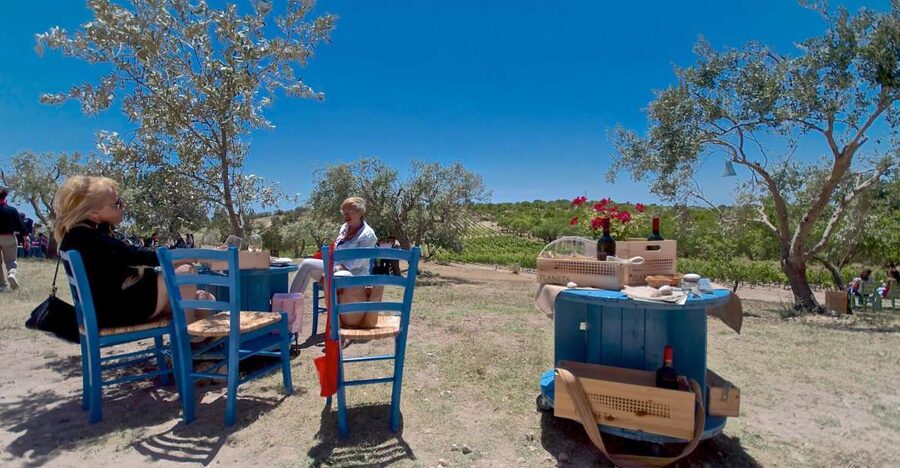 Etna & Wine Private Day Tour - Key things I’d bank on