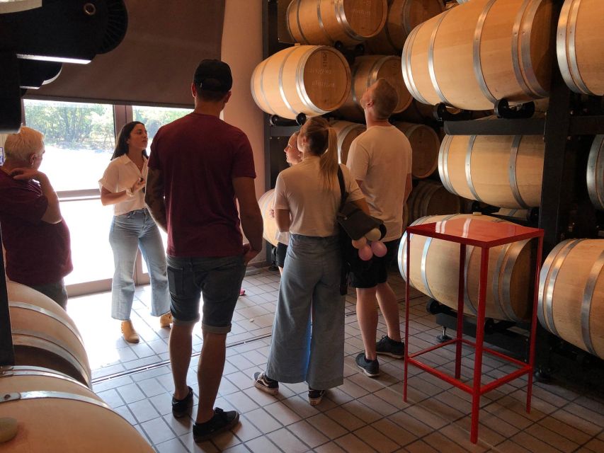 Etna & Wine Private Day Tour - Who this tour suits best (and who should skip)