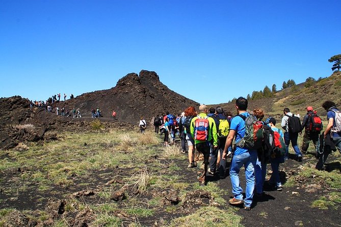 ETNA & WINE, TAORMINA TOUR FD from CATANIA (GUIDE and LUNCH Included) - Catania pickup, Etna timing, and the day’s simple rhythm