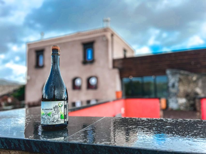 Etna: Wine Tasting and Food Tour - Who This Tour Fits Best (and Who Might Prefer Another Day)