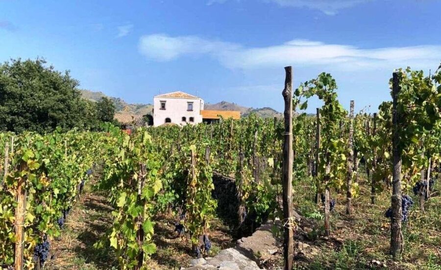 Etna: Wine Tasting and Food Tour - Leaving Catania: How the Van Ride Builds the Day