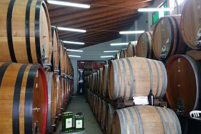 Etna Wine Tasting & Sicilian Lunch –Small Group Tour from Catania - Key things to know before you go