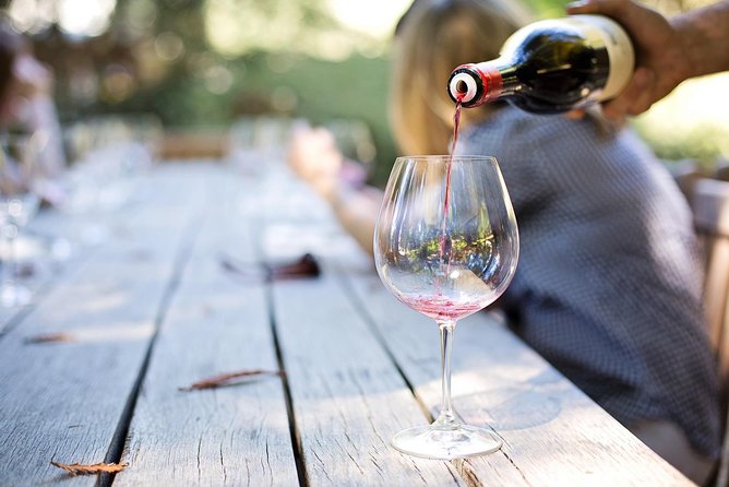 Etna Wine Tasting & Sicilian Lunch –Small Group Tour from Catania - Catania pickup and the rhythm of a 7–8 hour wine day