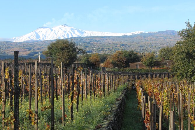 Etna Wine Tasting & Sicilian Lunch –Small Group Tour from Catania - Palmento Martinella lunch with Emilio Sciacca Etna wines