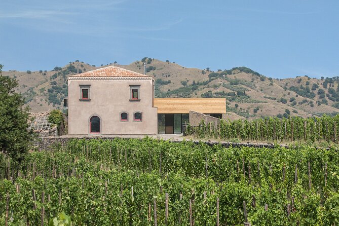 Etna Wine Tasting & Sicilian Lunch –Small Group Tour from Catania - How to plan for comfort, timing, and what to bring