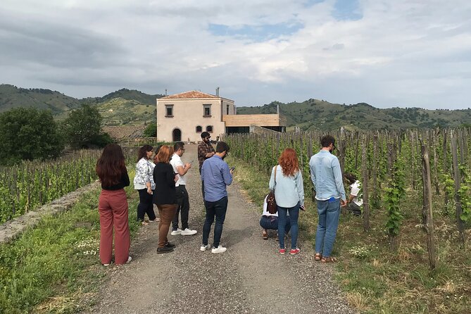 Etna Wineries Tour - Small Groups from Taormina - How the 8 hours work (and why timing matters)