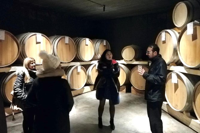 Etna Wineries Tour - Small Groups from Taormina - Two Etna North wineries: what you’ll learn and how to manage expectations