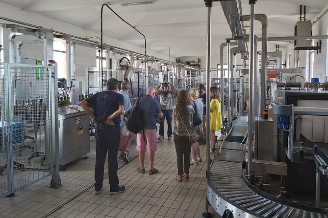 Etna Wineries Tour - Small Groups from Taormina - Price and value: what $174.99 buys you (and what to watch)