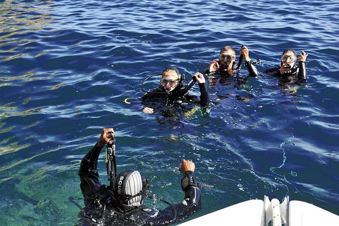 Exciting PADI Discover Scuba Diving Experience Isola Bella Marine Park Taormina - What the reviews reveal about what matters most